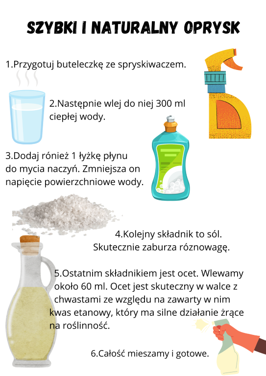 1.Przygotuj buteleczkę ze spryskiwaczem.                     2.Następnie wlej do niej 300 ml                   ciepłej wody.   3.Dodaj rónież 1 łyżkę płynu do mycia naczyń. Zmniejsza on napięcie powierzchniowe wody.                                                 4.Kolejny składnik to sól.                                         Skutecznie zaburza róznowagę.                      5.Ostatnim składnikiem jest ocet. Wlewamy                        około 60 ml. Ocet jest skuteczny w walce z                       chwastami ze względu na zawarty w nim                           kwas etanowy, który ma silne działanie żrące                    na roślinność. 