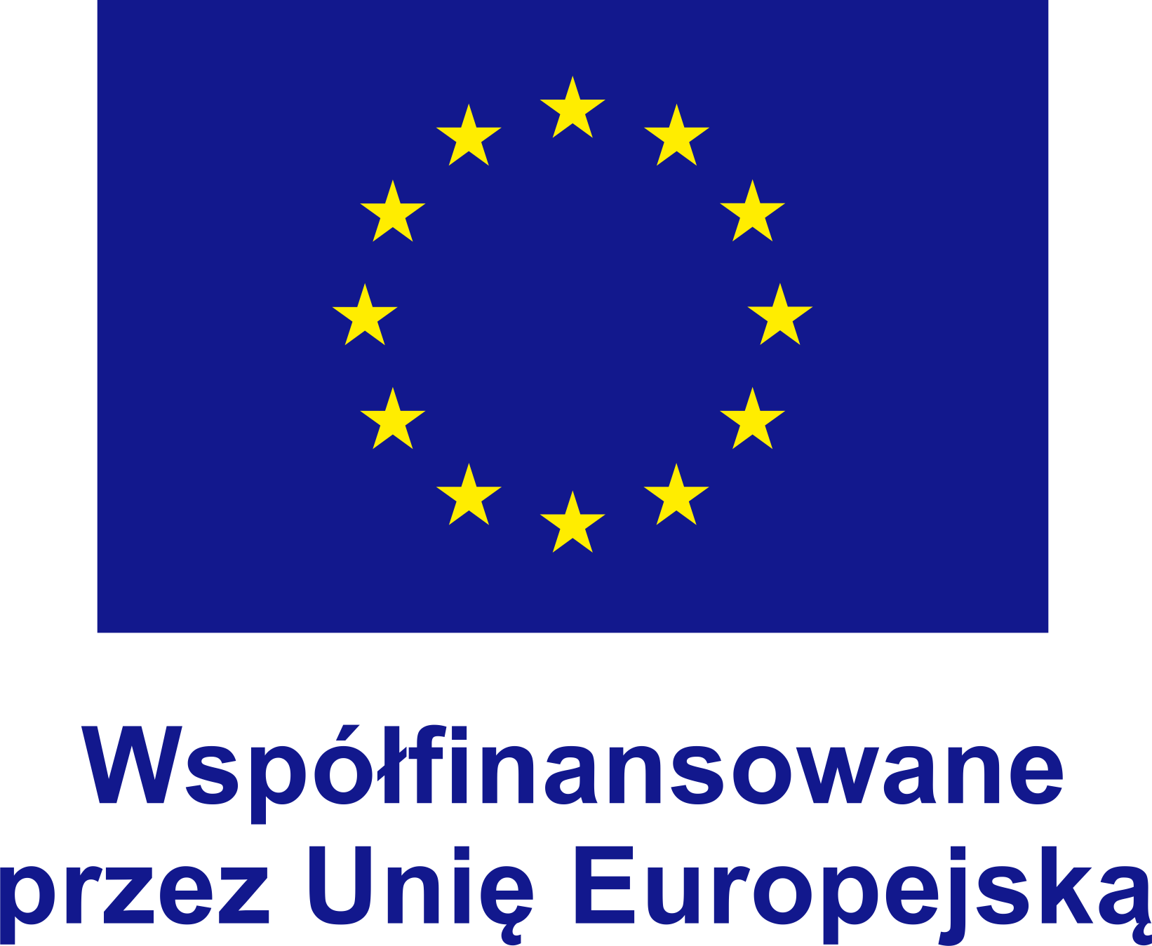 Logo przedstawiające flagę Unii Europejskiej oraz informację, że niniejszy projekt jest współfinansowany przez Unię Europejską.