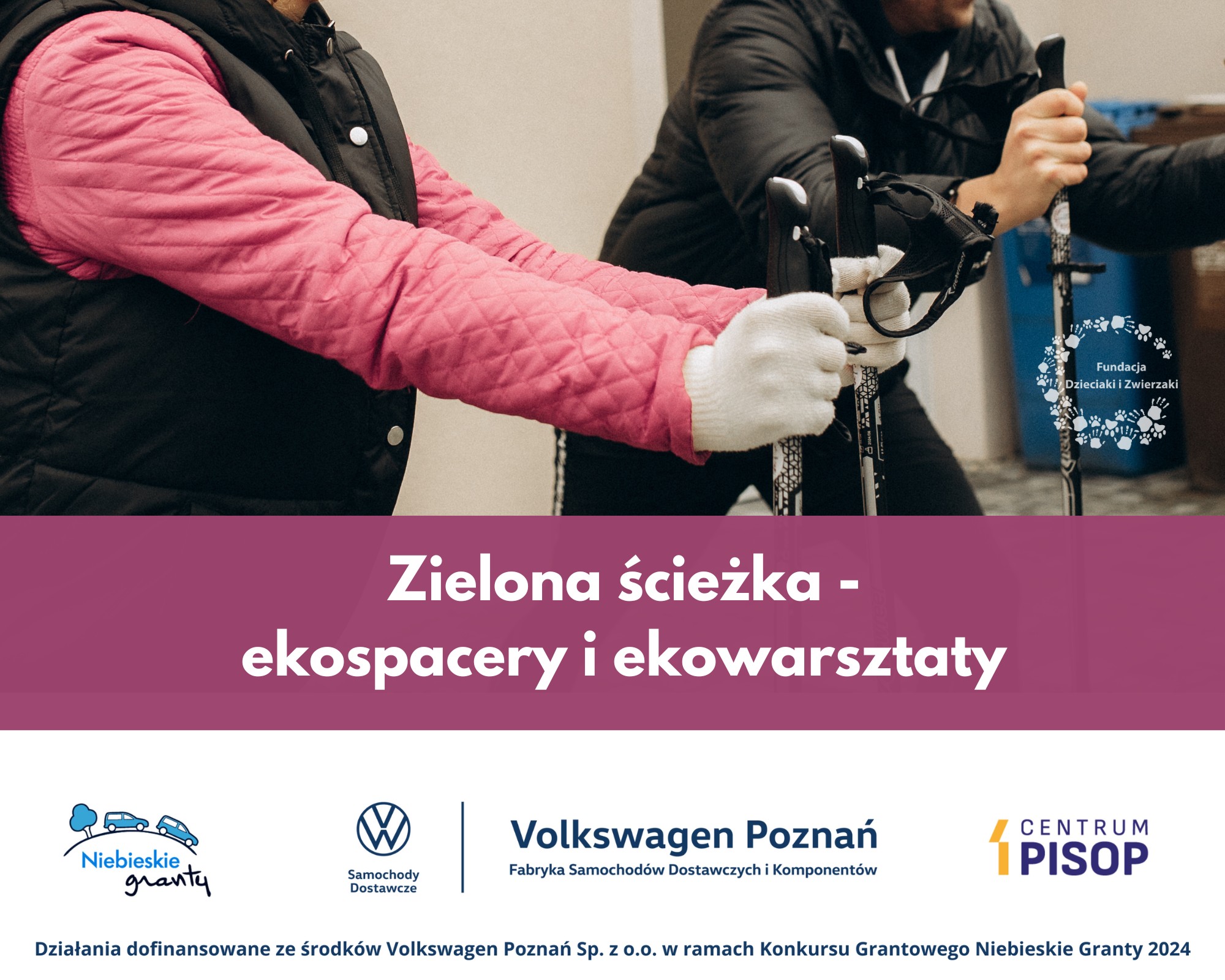 Plakat informacyjny. Na samej górze plakatu umieszczono zdjęcie przedstawiające dwie stojące dorosłe osoby: mężczyznę i kobietę. Mężczyzna jest ubrany w ciepłą czarną kurtkę. Jest pochylony i opiera się na kijkach trekkingowych. Kobieta jest ubrana w różową lekką kurtkę, na którą ma nałożoną czarną ciepłą kamizelkę zimowy bezrękawnik. W dłoniach, które ma osłonięte białymi rękawiczkami trzyma dwa kije nordic-walking. Jej postawa zdradza gotowość do marszu. Postacie na zdjęciu są przedstawione od szyi do pasa, nie widać ich twarzy i nóg. W prawym dolnym rogu zdjęcia umieszczono logo Fundacji Dzieciaki i Zwierzaki, które stanowi wianuszek utworzony z białych odciśniętych śladów psich łap i dziecięcych dłoni. W środku wianuszka widnieje nazwa fundacji. Pod zdjęciem wszerz plakatu przebiega bordowy pas, na którym białą czcionką napisano następujący tekst: Zielona ścieżka myślnik ekospacery i ekowarsztaty. Pod paskiem, w dolnej części plakatu następuje białe tło, na którym umieszczono logo Niebieskich grantów, Samochodów Dostawczych Folkswagen, Fabryki Samochodów Dostawczych i Komponentów Folkswagen Poznań oraz Centrum Pisop. Na samym dole plakatu, również na białym tle, granatową czcionką złożono następujący tekst: Działania dofinansowane ze środków Folkswagen Poznań spółka z ograniczoną odpowiedzialnością w ramach Konkursu Grantowego Niebieskie Granty dwa tysiące dwadzieścia cztery.