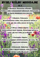 6.Rozmaryn (Rosmarinus officinalis) RoÅlina o wielu zastosowaniach kulinarnych, ktÃ³rej kwiaty sÄ chÄtnie odwiedzane przez pszczoÅy.  7.Miodunka (Pulmonaria) Wczesnowiosenna roÅlina, ktÃ³ra dostarcza nektaru w czasie, gdy inne roÅliny jeszcze nie kwitnÄ.  8.Wrzos (Calluna vulgaris) Kwitnie pÃ³Åºnym latem i jesieniÄ, dostarczajÄc nektaru w czasie, gdy inne roÅliny juÅ¼ przekwitÅy.  9.KocimiÄtka (Nepeta) RoÅlina przyciÄgajÄca zarÃ³wno pszczoÅy, jak i koty. Ma dÅugotrwaÅe kwitnienie.  10.SÅonecznik (Helianthus) Wysokie roÅliny o duÅ¼ych kwiatach, ktÃ³re sÄ ÅºrÃ³dÅem nektaru i pyÅku dla pszczÃ³Å.