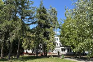 Widok na ogród społeczny i tył budynku Centrum Usług Społecznych od strony ulicy Sienkiewicza.