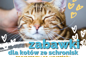 Plakat informujący o warsztatach z okazji Światowego Dnia Kota.
